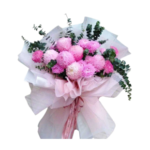 Bó hoa cúc mẫu đơn hồng và lá bạc - Món quà tinh khôi, lãng mạn