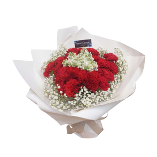 Bó hoa cẩm chướng đỏ kết hợp phi yến và baby trắng - Quà tặng sang trọng, ý nghĩa