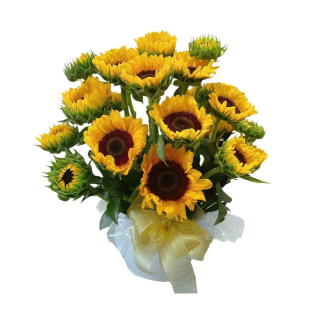 Bình hoa hướng dương rạng rỡ - Biểu tượng của thành công và may mắn