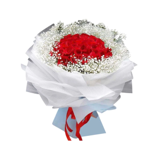 Bó hoa hồng đỏ tinh khôi - Sự kết hợp hoàn hảo giữa hồng đỏ và baby trắng