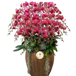 Hoa lan hồ điệp - Mẫu 50