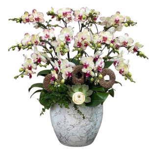 Hoa lan hồ điệp - Mẫu 30