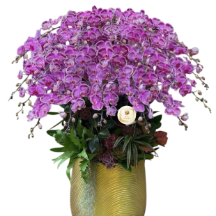 Hoa lan hồ điệp - Mẫu 35