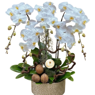 Hoa lan hồ điệp - Mẫu 07