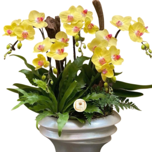Hoa lan hồ điệp - Mẫu 08