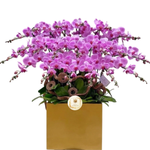 Hoa lan hồ điệp - Mẫu 31